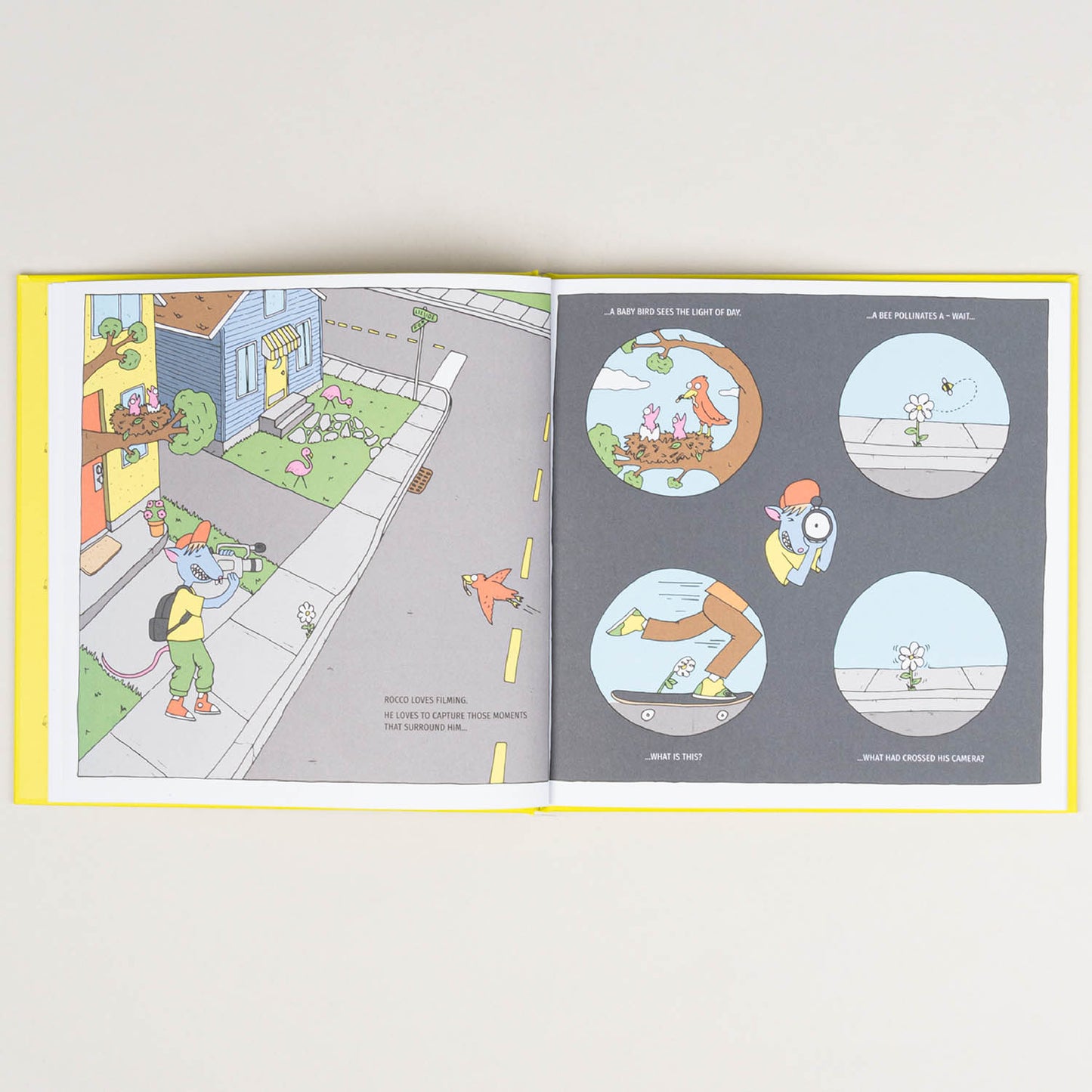 Little Skate Rats Book